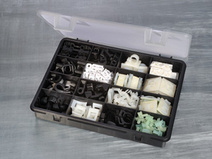 BMS-100